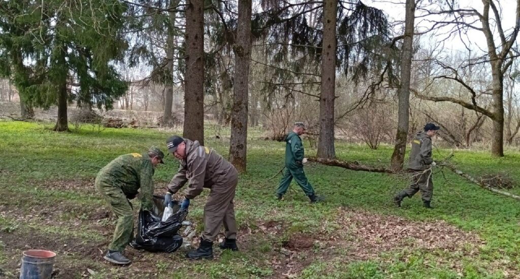 Сотрудники Лотошинского участкового лесничества приводят лес в порядок