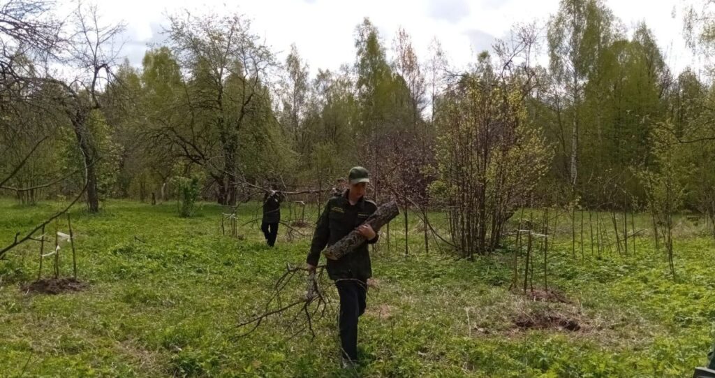 Члены школьного лесничества &laquo;Боровичок&raquo; приняли участие в субботнике на территории Парка Победы