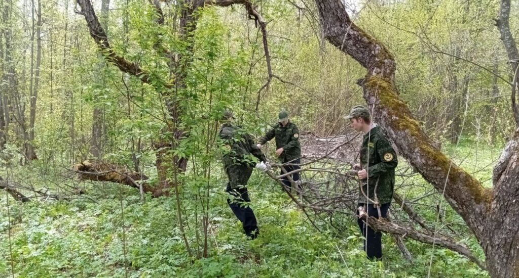 Члены школьного лесничества &laquo;Боровичок&raquo; приняли участие в субботнике на территории Парка Победы