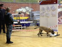 Порядок действий при возникновении чрезвычайных ситуаций на избирательном участке для голосования отработали в Волоколамском округе