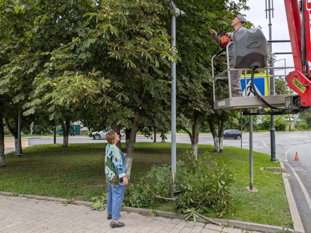 В Волоколамске проверили ход работ по опиловке деревьев в парке у Вечного огня В Волоколамске проверили ход работ по опиловке деревьев в парке у Вечного огня